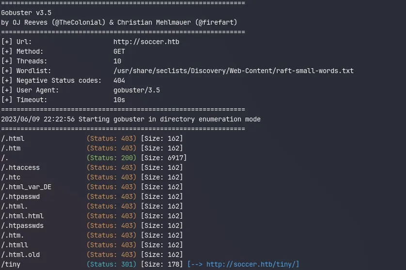 Gobuster scan result showing the /tiny endpoint redirecting to http://soccer.htb/tiny/